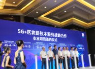 宁波加入全球区块链