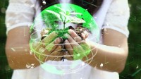 如何推动绿色经济和数字经济协同融合发展？ 专家热议